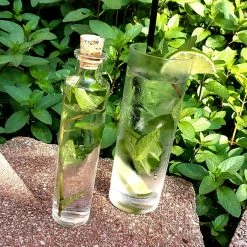 Cheapest 👏 BarMan Cylinder Craft Bartending Bottle W/ Cork - Clear 4 Oz ⭐ -barproducts Shop cylinder craft bartending bottle w cork bpc 6 700x700