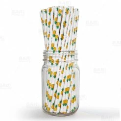 Cheapest ???? BarMan BarConic® "Eco-Friendly" Paper Straws - 7 3/4" Pineapple Design - Packs Of 100 ????